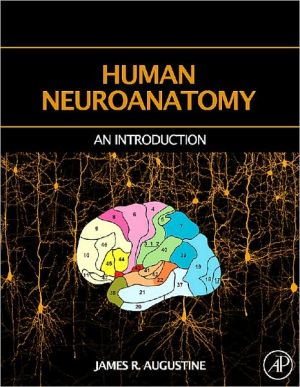 Human Neuroanatomy - Image 2