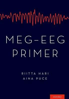 MEG-EEG Primer - Image 6