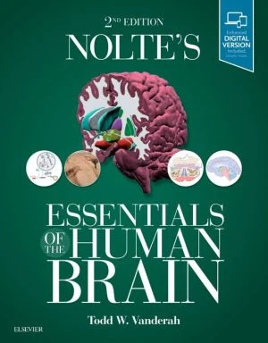 Nolte's Essentials of the Human Brain: With STUDENT CONSULT Online Access, 2e - Image 45