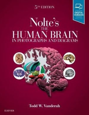 Nolte's The Human Brain in Photographs and Diagrams, 5e - Image 26