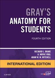 Gray's Anatomy for Students (IE), 4e** - Image 41