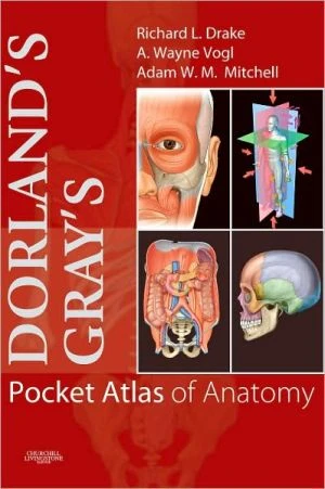 Dorland's/Gray's Pocket Atlas of Anatomy** - Image 7