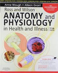 Ross & Wilson Anatomy and Physiology in Health and Illness (IE), 11e** - Image 45