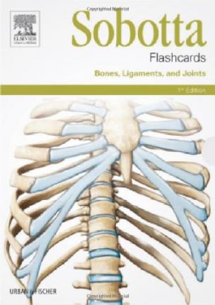 Sobotta Flashcards Bones, Ligaments and Joints - Image 5