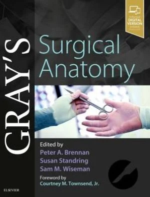 Gray's Surgical Anatomy** - Image 2
