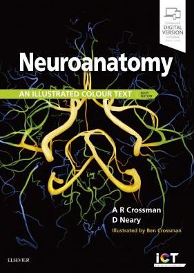 Neuroanatomy: An Illustrated Colour Text, 6e** - Image 12