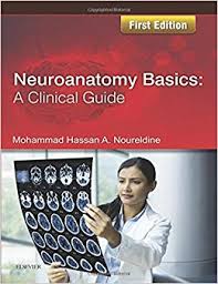 Neuroanatomy Basics: A Clinical Guide - Image 29