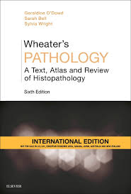 Wheater's Pathology: A Text, Atlas and Review of Histopathology (IE), 6e - Image 25