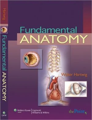 Fundamental Anatomy** - Image 3