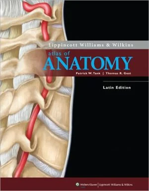 Lippincott Williams & Wilkins Atlas of Anatomy English-Latin Edition** - Image 3