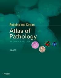 Robbins and Cotran Atlas of Pathology (IE), 2e** - Image 40