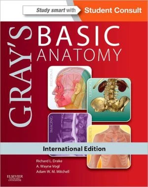 Gray's Basic Anatomy (IE)** - Image 8