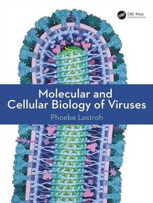 Molecular and Cellular Biology of Viruses - Image 13