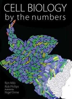 Cell Biology by the Numbers - Image 37