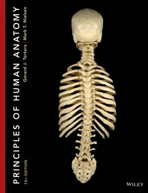 Principles of Human Anatomy, 13e ** - Image 51