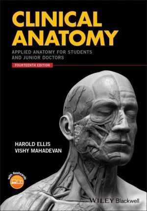 Clinical Anatomy: Applied Anatomy for Students and Junior Doctors 14e - Image 9