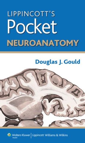Lippincott Pocket Neuroanatomy - Image 11