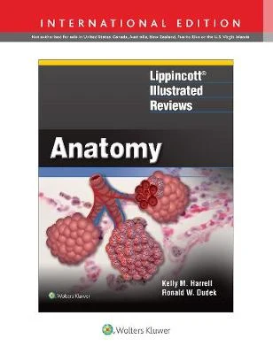 Lippincott Illustrated Reviews: Anatomy (IE)** - Image 34