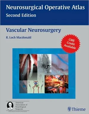 Vascular Neurosurgery, Neurosurgery Operative Atlas - Image 35