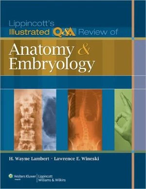 Lippincott Illustrated Q&A Review of Anatomy and Embryology - Image 29