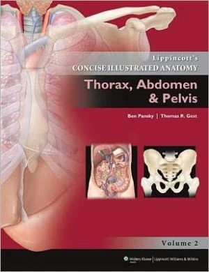 Lippincott Concise Illustrated Anatomy: Thorax, Abdomen, Pelvis and Perineum** - Image 6