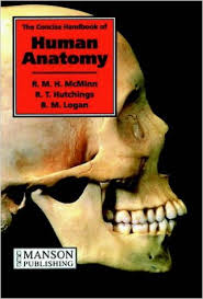 The Concise Handbook of Human Anatomy - Image 38