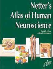 Netter's Atlas of Human Neuroscience (IE)** - Image 6