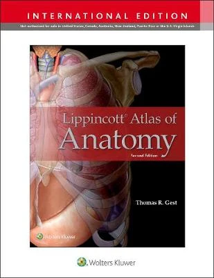 Lippincott Atlas of Anatomy (IE), 2e - Image 47