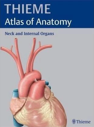 Neck and Internal Organs, Thieme Atlas of Anatomy ** - Image 3