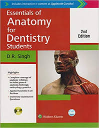 Essentials of Anatomy for Dentistry Students, 2nd ed