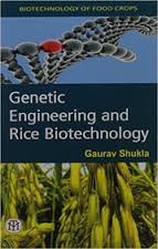 Genetic Engineering and Rice Biotechnology - Image 3