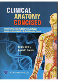 Clinical Anatomy Concised - Image 13
