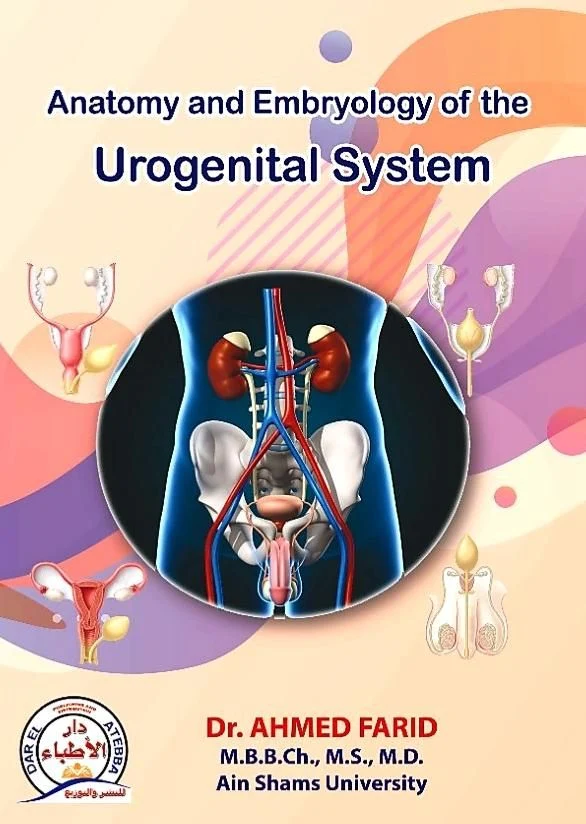 Anatomy and Embryology of the Urogenital System - Image 2